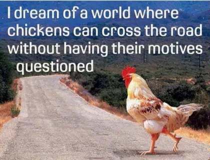 Angry Birds? Nah—Fearless Chicken Road Warriors: A New Era of Feathered Heroes