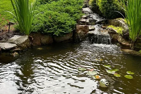 Keep Your Water Feature Clean, Clear, and Thriving